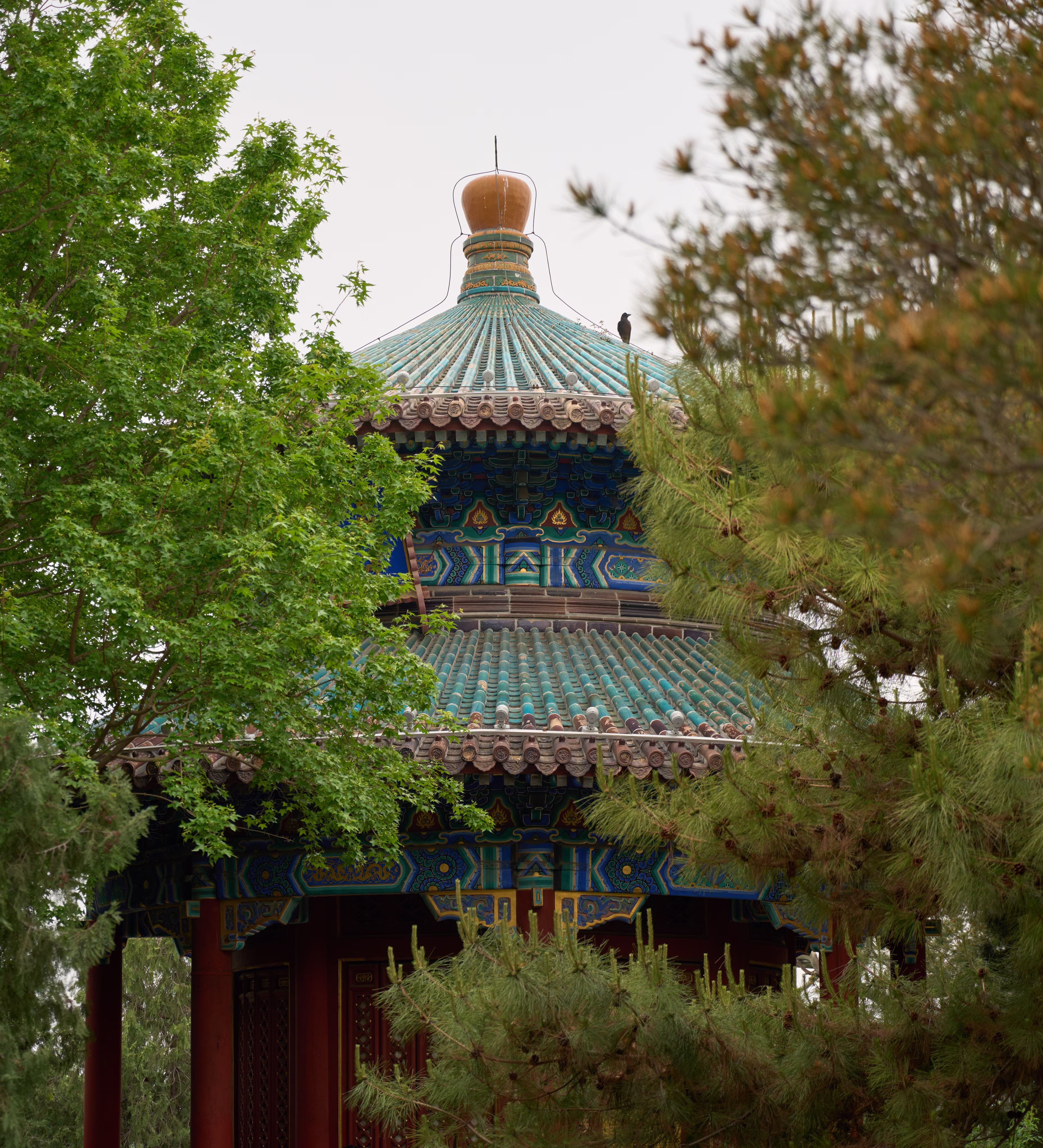 One of the pavilions